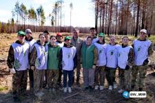 Более 300 тысяч сеянцев посадили в Тюменской области по акции "Сад памяти"