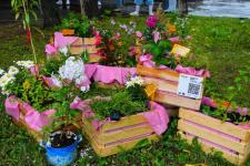 Пять арт-объектов создали тюменцы на "Морфологии улиц"