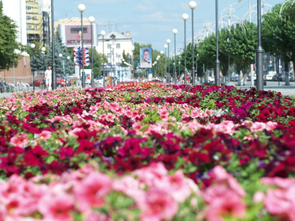 Александр Моор пожелал лучшему городу Земли процветания Александр Моор пожелал лучшему городу Земли процветания
