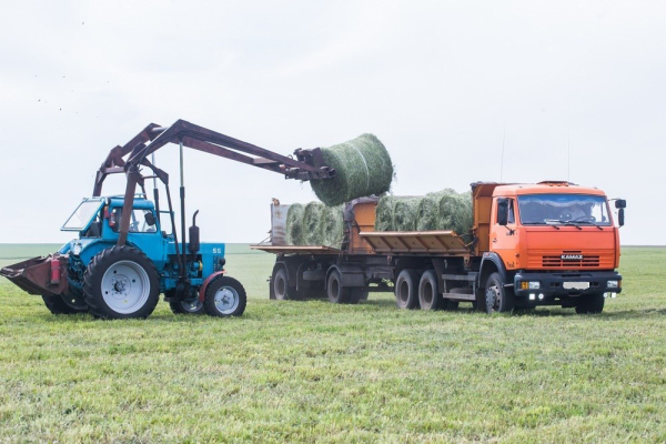 Хозяйства Заводоуковского округа заготовили 66 % необходимого объема сена