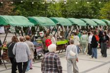 Обновленный сквер Славянский торжественно открыли в Тюмени