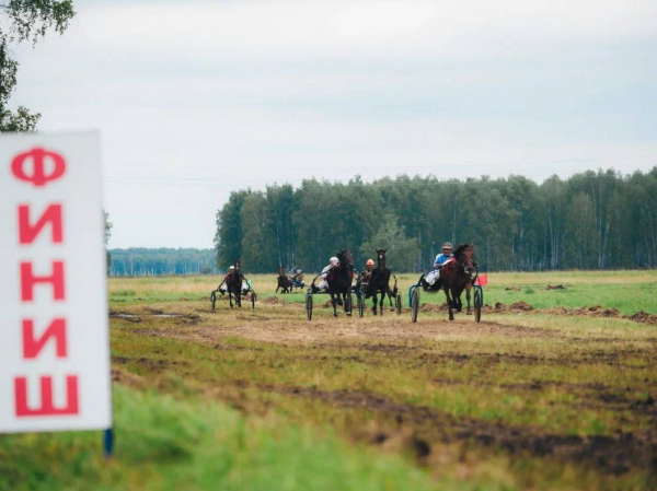 Конноспортивный турнир памяти Жумабая Раизова собрал более 7 тысяч зрителей