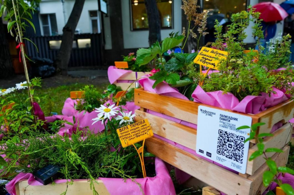 Пять арт-объектов создали тюменцы на "Морфологии улиц"