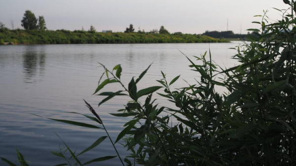 Завершились поиски утонувшего на озере Оброчное подростка Завершились поиски утонувшего на озере Оброчное подростка