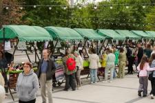 Обновленный сквер Славянский торжественно открыли в Тюмени