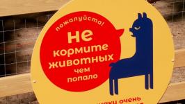 Альпак из разных городов завезли в Тюмень