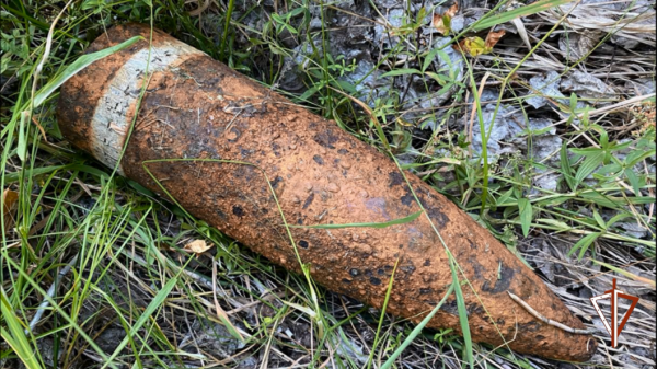 Артиллерийский снаряд времён Гражданской войны нашли в Тобольском районе Артиллерийский снаряд времён Гражданской войны нашли в Тобольском районе