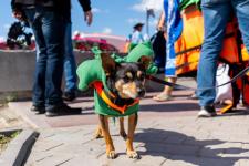 Названы победители фестиваля “72 сап фест” в Тюмени