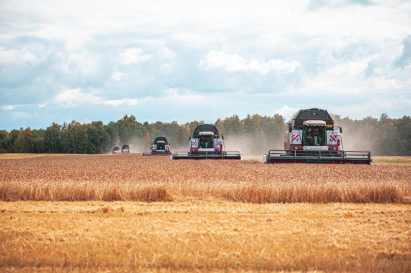 В Тюменской области стартовал обмолот технических сельхозкультур