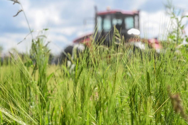 18 тыс. тонн зерна собрали аграрии Тюменской области в выходные 
