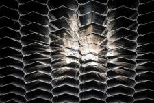 Новые технологии используют при реконструкции Метелевского водозабора в Тюмени Новые технологии используют при реконструкции Метелевского водозабора в Тюмени