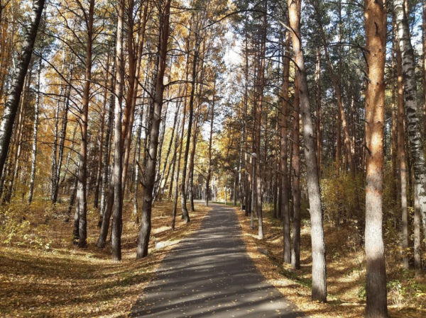 В Тюмени 100 спортсменов выйдут на дистанции шестого этапа Кубка парков В Тюмени 100 спортсменов выйдут на дистанции шестого этапа Кубка парков