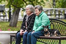 Заводской гудок прозвучал в тюменском Загородном саду Заводской гудок прозвучал в тюменском Загородном саду