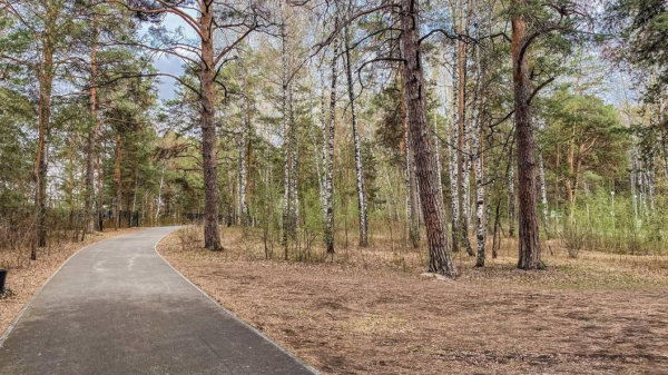 Пешие маршруты, мастер-классы и концерт ждут участников фестиваля "Лес" в Тюмени Пешие маршруты, мастер-классы и концерт ждут участников фестиваля "Лес" в Тюмени