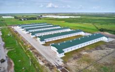 Тюменская область представит 30 компаний на XIII Межрегиональной выставке АПК в Екатеринбурге&nbsp;