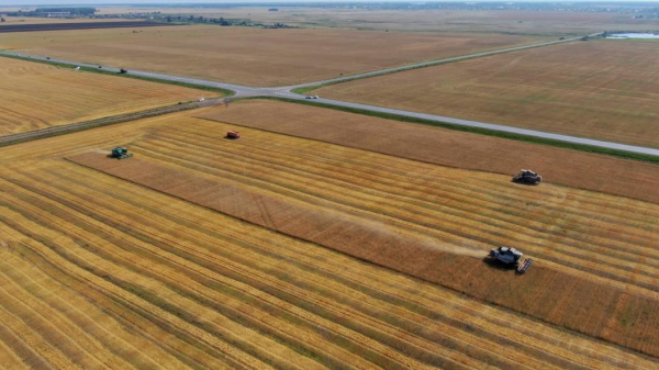 Полеводы Тюменской области собрали 911 тыс. 600 тонн зерна нового урожая Полеводы Тюменской области собрали 911 тыс. 600 тонн зерна нового урожая