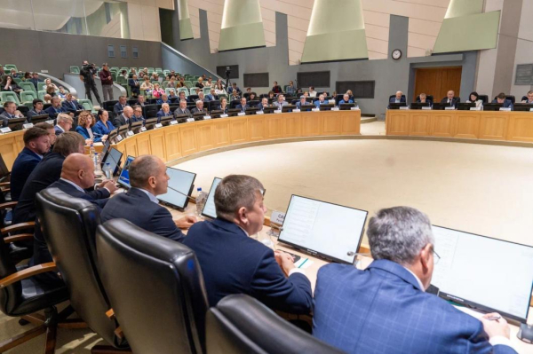 Тюменские депутаты оценили работу по благоустройству города в 2024 году Тюменские депутаты оценили работу по благоустройству города в 2024 году