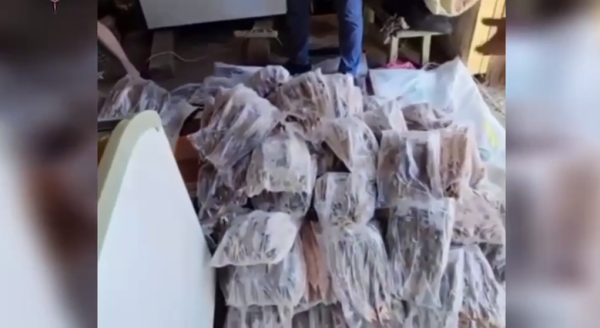 Суд приговорил к условному сроку трех жителей Тюменской области за оборот краснокнижной рыбы Суд приговорил к условному сроку трех жителей Тюменской области за оборот краснокнижной рыбы