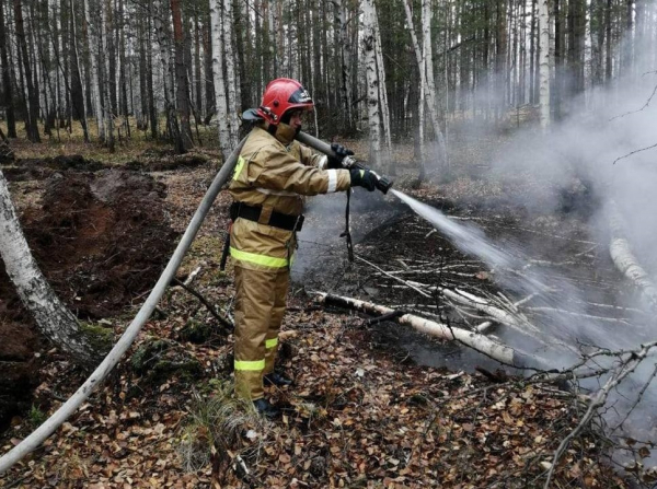 В Тюменской области действуют 115 постов региональной противопожарной службы