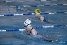 350 спортсменов приедут в Ишим на соревнования по плаванию