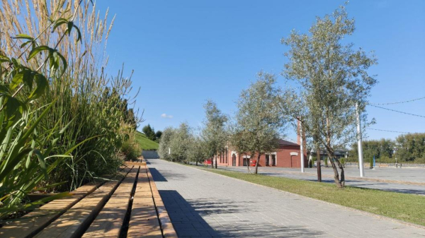 Тюменцев ждут магнитные бури второго и третьего уровней