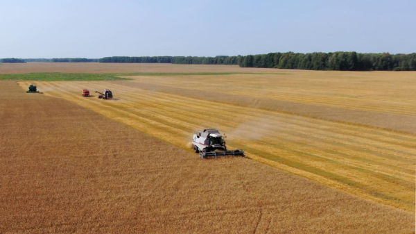 Викуловские аграрии убрали более 70 % нового урожая 