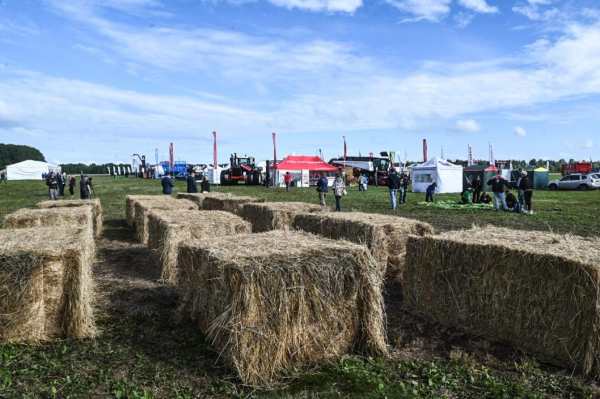 Заготовку сена, сенажа и силоса завершили хозяйства Тюменской области