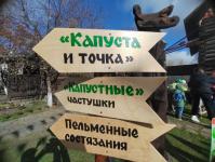 "Капуста-барыня" собрала любителей народных гуляний в Ялуторовске 