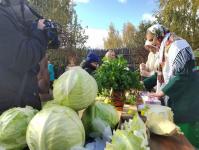 "Капуста-барыня" собрала любителей народных гуляний в Ялуторовске 