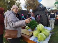 "Капуста-барыня" собрала любителей народных гуляний в Ялуторовске 