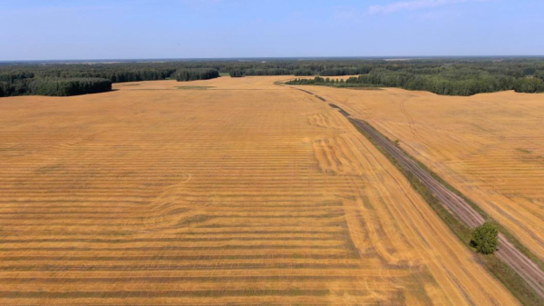 Заводоуковские аграрии получили самый большой урожай за 14 лет